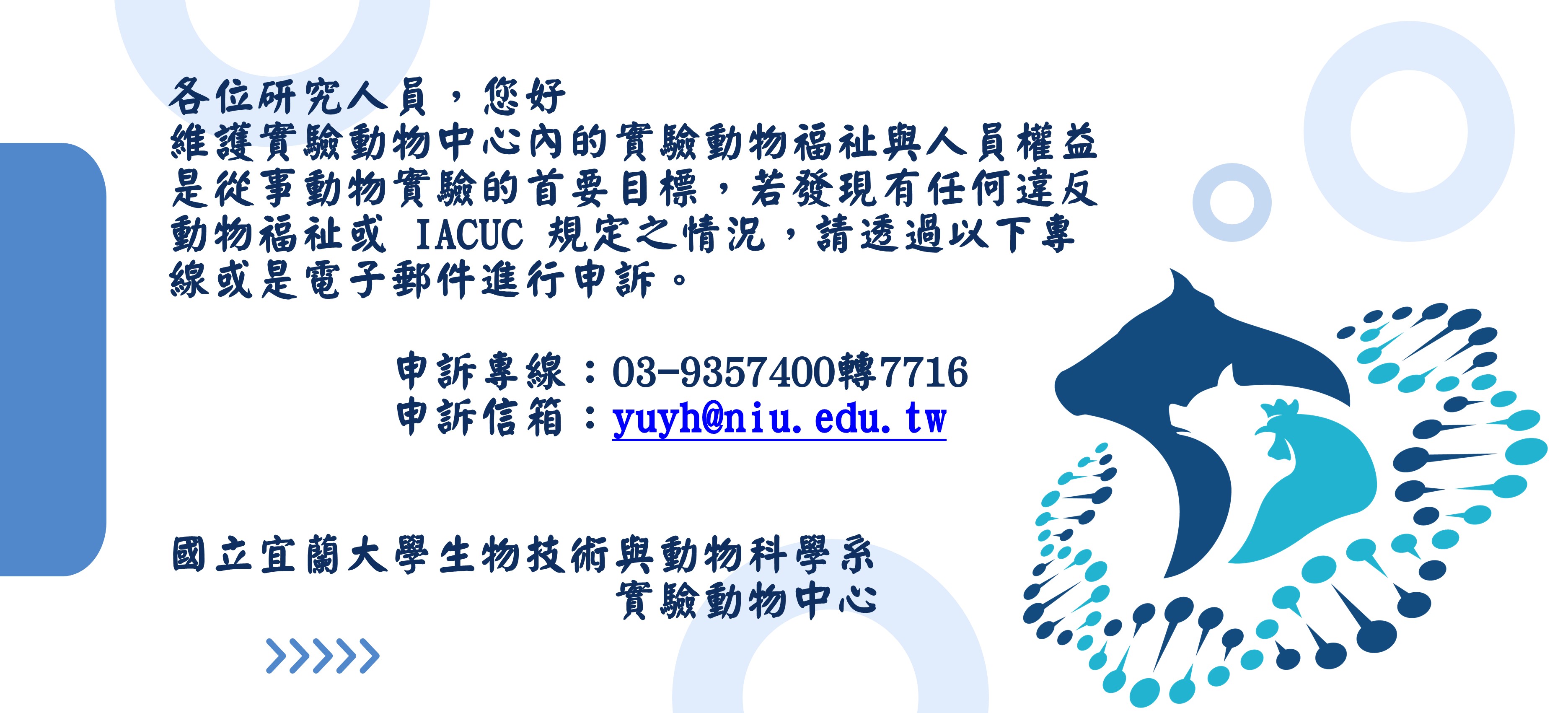 實驗動物